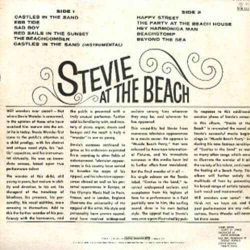Stevie Wonder At The Beach
