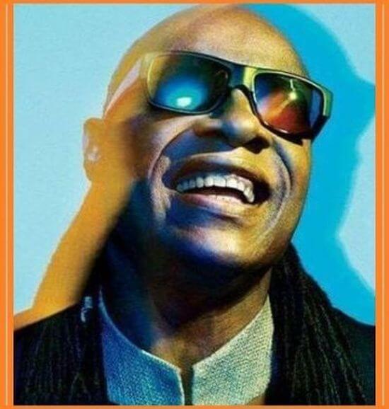 Un genio Stevie Wonder