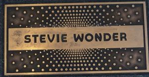 Firm Stevie Wonder
